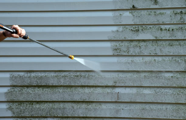 Best Certified Mold Removal  in Frederick, OK