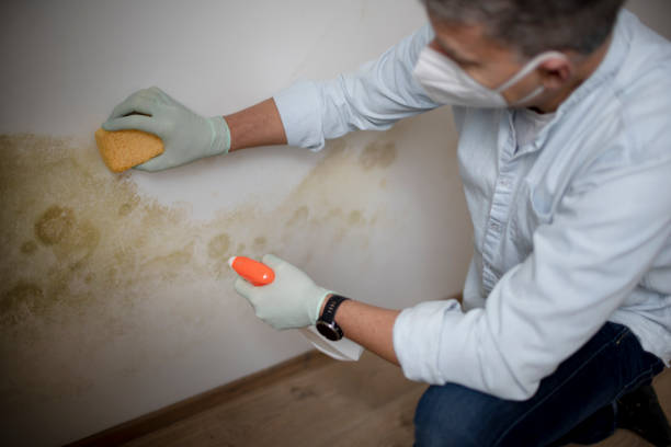 Best Water Damage Restoration  in Frederick, OK
