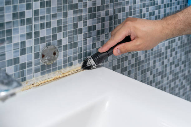 Office Mold Removal Services in Frederick, OK